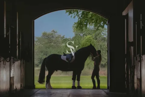 Villa in Dubai Investment Park, Dubai 4 bedrooms, 300 sq.m. № 68317 - photo 10