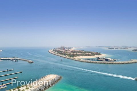 Appartement à BEACH VISTA à Dubai Harbour, Dubai, 1 chambre, № 30825 - photo 10