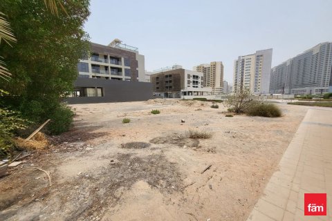 Land in Dubai 1474.1 sq.m. № 43008 - photo 14