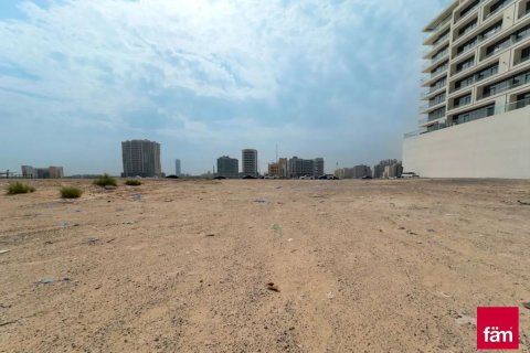 Land in Majan, Dubai 1564.5 sq.m. № 18557 - photo 1