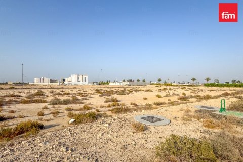 Land in Jebel Ali, Dubai 1195.8 sq.m. № 84127 - photo 5