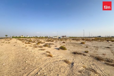 Land in Jebel Ali, Dubai 1195.8 sq.m. № 84127 - photo 7