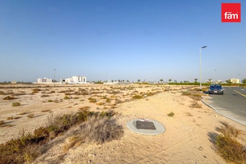 Land in Jebel Ali, Dubai 1195.8 sq.m. № 84127 - photo 4