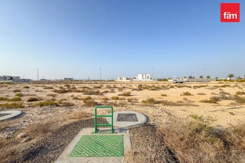 Land in Jebel Ali, Dubai 1195.8 sq.m. № 84127 - photo 6