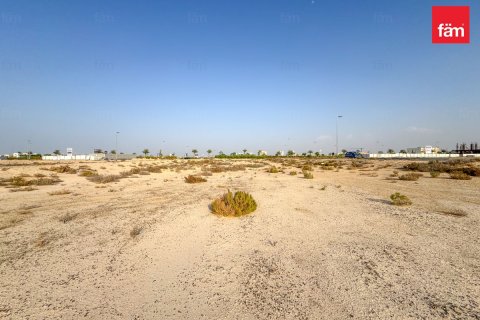 Land in Jebel Ali, Dubai 1195.8 sq.m. № 84127 - photo 2