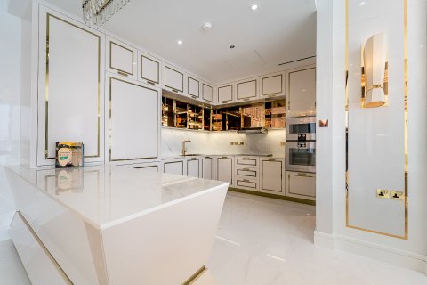 شقة في نخلة جميرا, دبي 3 غرف نوم, 317 م² رقم 120352 - صورة 9