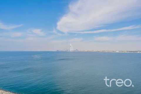 شقة في نخلة جميرا, دبي 4 غرف نوم, 445.19 م² رقم 119280 - صورة 11