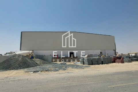 Warehouse in Dubai 5331 sq.m. № 37172 - photo 6