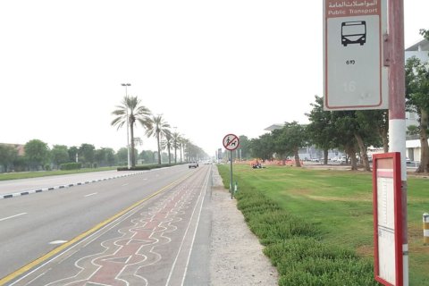 Nad Al Sheba 1 - фото 4