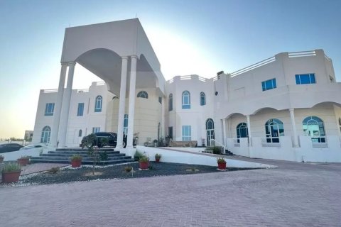 Nad Al Sheba 2 - photo 4