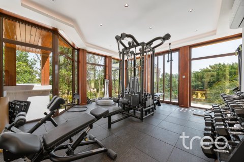 Villa in Desert Leaf, Al Barari, Dubai 10 bedrooms, 2392.44 sq.m. № 119645 - photo 19