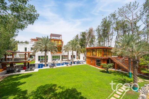 Villa in Desert Leaf, Al Barari, Dubai 10 bedrooms, 2392.44 sq.m. № 119645