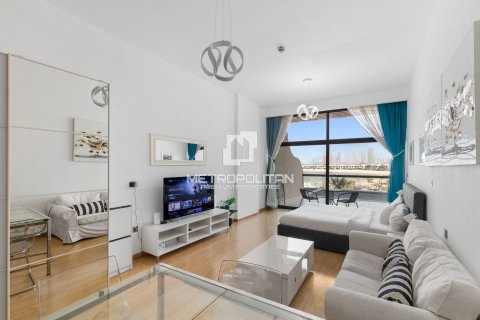 شقة في نخلة جميرا, دبي 56 م² رقم 73153 - صورة 1