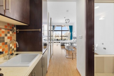 شقة في نخلة جميرا, دبي 56 م² رقم 73153 - صورة 12