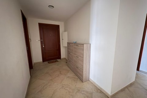 Apartment in Dubai 3 bedrooms, 224 sq.m. № 105720 - photo 4