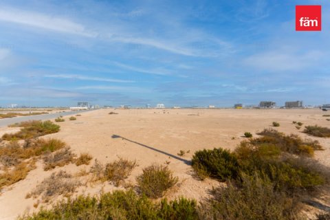 Land in Jebel Ali, Dubai 916.3 sq.m. № 70480 - photo 8