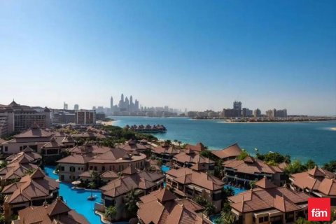 شقة فندقية في نخلة جميرا, دبي 55.9 م² رقم 107529 - صورة 6