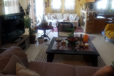 Villa à Regional, Jumeirah Park, Dubai, 5 chambres, 490 m², № 761 - photo 4