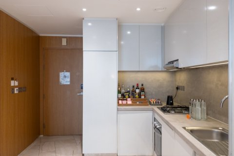 Снять в аренду апартаменты в отеле в Дубае: 2 спальни, 259м², № 103208 - фото 11