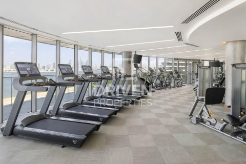 بانتهاوس في W Residences, نخلة جميرا, دبي 4 غرف نوم, 761 م² رقم 66095 - صورة 15