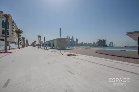 شقة في نخلة جميرا, دبي 3 غرف نوم, 200 م² رقم 69132 - صورة 10