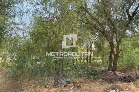 Land in Mirdif, Dubai 1338 sq.m. № 4309 - photo 8