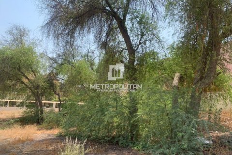 Land in Mirdif, Dubai 1338 sq.m. № 4309 - photo 11