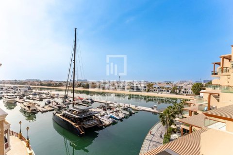 Apartment in Palm Views, Palm Jumeirah, Dubai studio, 51 sq.m. № 126267