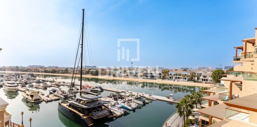 Apartment in Palm Views, Palm Jumeirah, Dubai studio, 51 sq.m. № 126267