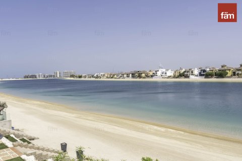 Villa en Palm Jumeirah, Dubai, 4 dormitorios, 657.7 m², № 12052 - foto 25
