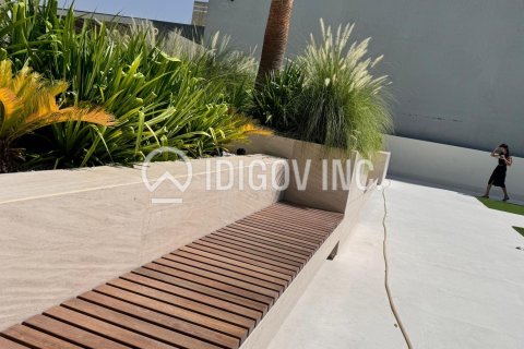Apartment in Jumeirah Village Circle, Dubai 1 bedroom, 65 sq.m. № 38241 - photo 13