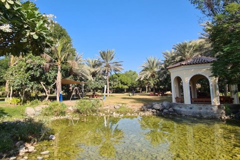 Green Community - foto 11