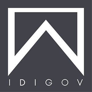 IDIGOV REAL ESTATE