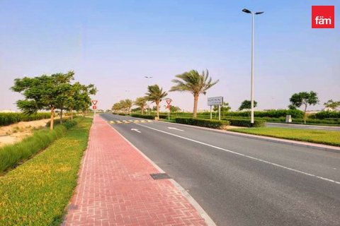 Land in Jebel Ali, Dubai 968.7 sq.m. № 110164 - photo 5