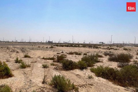 Land in Jebel Ali, Dubai 968.7 sq.m. № 110164 - photo 4