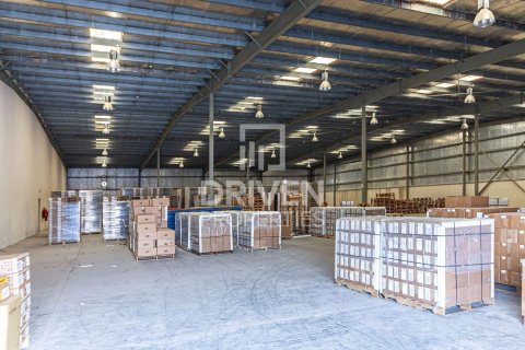 Entrepôt à Jebel Ali, Dubai, 4897 m², № 84943 - photo 7