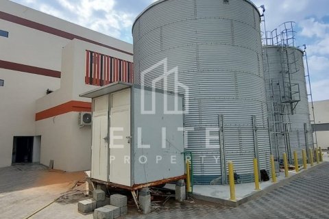 مستودع في جبل علي, دبي 7040 م² رقم 38935 - صورة 9