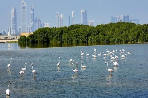 Apartment in Ras Al Khor, Dubai 1 bedroom, 62.7 sq.m. № 120684 - photo 7
