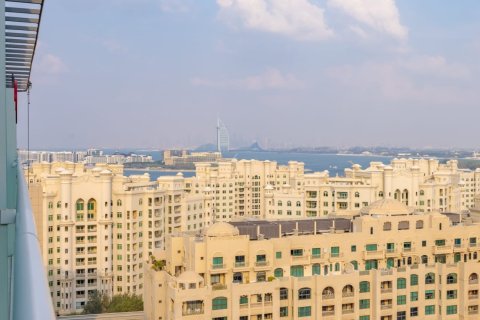 شقة في نخلة جميرا, دبي 33 م² رقم 120395 - صورة 12