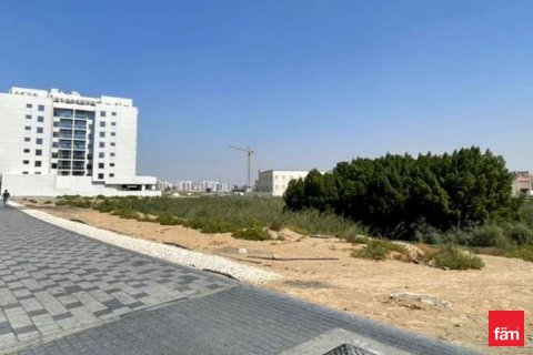Land in Jebel Ali, Dubai 1014 sq.m. № 60302 - photo 2